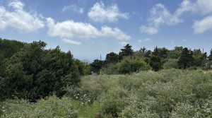 0Tarifarealestate-plot-Cuarton-straits-views-V-BLB