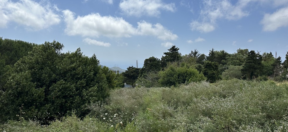 0Tarifarealestate-plot-Cuarton-straits-views-V-BLB_