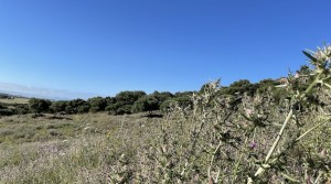 10 Tarifarealestate V-MPL country side-views