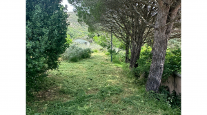 10Tarifarealestate-plot-Cuarton-straits-views-V-BLB