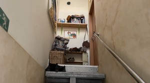 11Tarifarealestate V-BIO-comercial store house-terrace-apartment