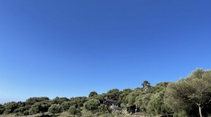 11Tarifarealestate V-MPL country side-views