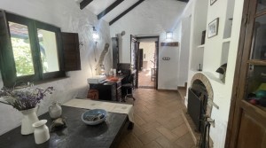 11Tarifarealestate V-SCA-country house-pool-office room