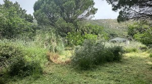 11Tarifarealestate-plot-Cuarton-straits-views-V-BLB