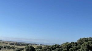 12Tarifarealestate V-MPL country side-views