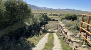 13Tarifarealestate V-MPL country side-views