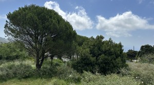 1Tarifarealestate-plot-Cuarton-straits-views-V-BLB