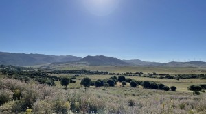2 Tarifarealestate V-MPL country side-views