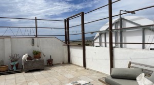 29Tarifarealestate V-BIO-comercial store house-terrace