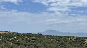 29tarifarealestate-V-TER-terrace-seaviews-upper terrace