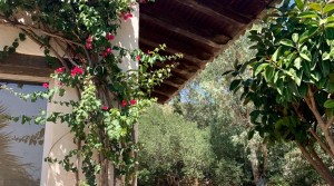 3 tarifarealestate V-TOR-La Peña-countryhouse-seaviews-outdoors