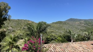 33Tarifarealestate V-SCA-country house-pool-terrace