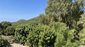 34Tarifarealestate V-SCA-country house-pool-terrace