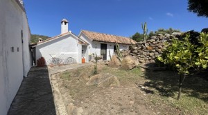 37Tarifarealestate V-SCA-country house-pool-exterior studio