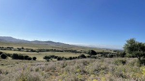 3Tarifarealestate V-MPL country side-views