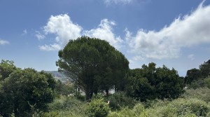 3Tarifarealestate-plot-Cuarton-straits-views-V-BLB