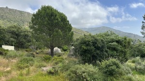 4Tarifarealestate-plot-Cuarton-straits-views-V-BLB