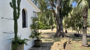 50Tarifarealestate V-SCA-country house-pool-casita