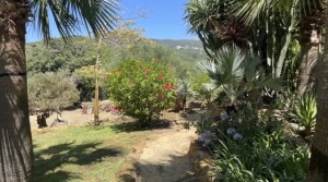 51Tarifarealestate V-SCA-country house-pool-garden