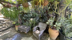 52Tarifarealestate V-SCA-country house-pool-garden
