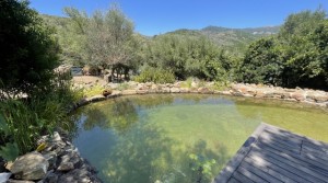 54Tarifarealestate V-SCA-country house-pool-pool