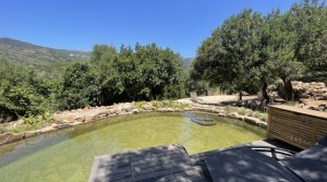 55Tarifarealestate V-SCA-country house-pool-pool