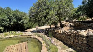 56Tarifarealestate V-SCA-country house-pool-pool