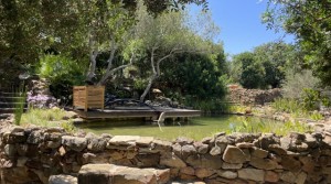 57Tarifarealestate V-SCA-country house-pool-pool