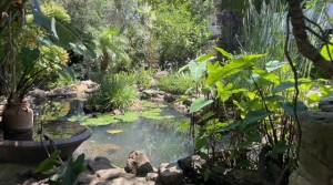 59Tarifarealestate V-SCA-country house-pool-pond