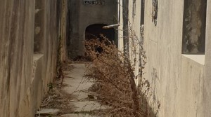 5Tarifarealestate V-CGF Punta Carnero -property-bunker-outside-jpg