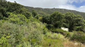 5Tarifarealestate-plot-Cuarton-straits-views-V-BLB