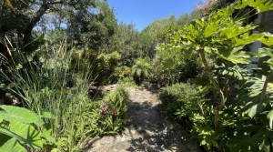 61Tarifarealestate V-SCA-country house-pool-garden