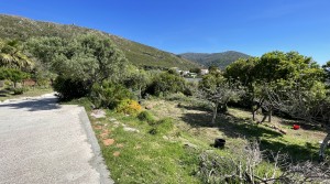 6Tarifarealestate-Villa-Cuarton-straits-views-V-TPC-garden _