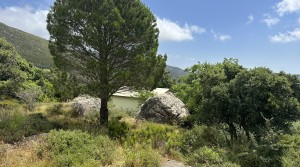 6Tarifarealestate-plot-Cuarton-straits-views-V-BLB