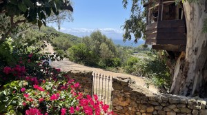 7 tarifarealestate V-TOR-La Peña-countryhouse-seaviews-outdoors