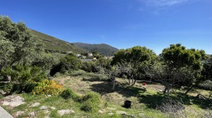 7Tarifarealestate-Villa-Cuarton-straits-views-V-TPC-garden-views