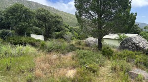 7Tarifarealestate-plot-Cuarton-straits-views-V-BLB