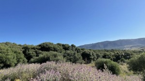 8 Tarifarealestate V-MPL country side-views
