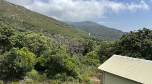 8Tarifarealestate-plot-Cuarton-straits-views-V-BLB