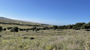 9 Tarifarealestate V-MPL country side-views