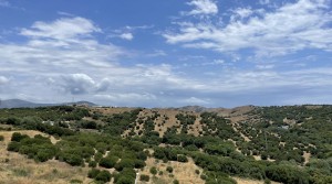 9tarifarealestate-V-TER-terrace-seaviews-lower terrace-views