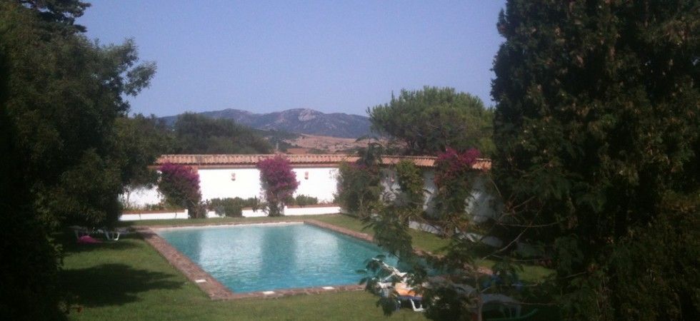 pool and garden