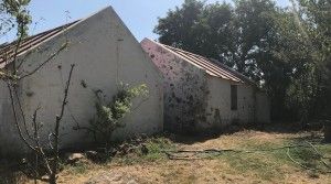 project-countryside-beautiful-plot-closeup-little-houses