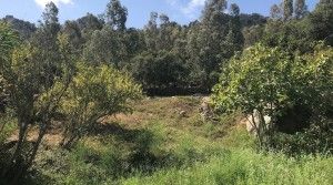 project-countryside-beautiful-plot-garden1