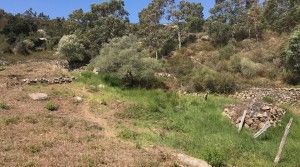project-countryside-beautiful-plot-garden2