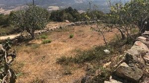 project-countryside-beautiful-plot-north-side