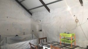project-countryside-beautiful-plot-room2