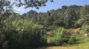 project-countryside-beautiful-plot-south-view