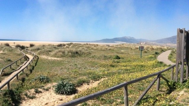 tarifa hiking in los Lances beach