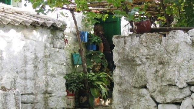 tarifa old patio in countryside